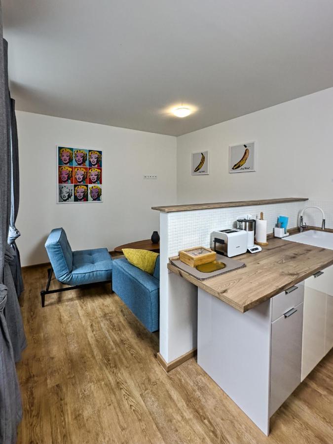Gallery Apartments リベレツ エクステリア 写真